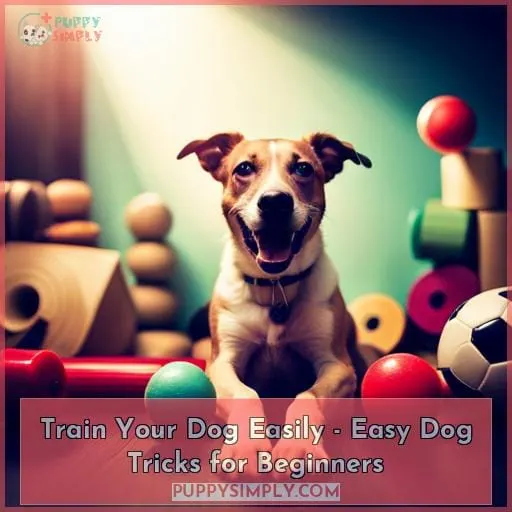 easy dog tricks for beginners