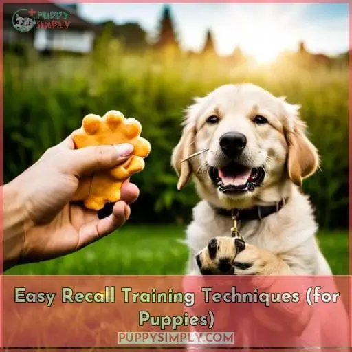 Easy Recall Training Techniques (for Puppies)