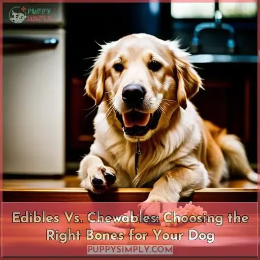 Edibles Vs. Chewables: Choosing the Right Bones for Your Dog