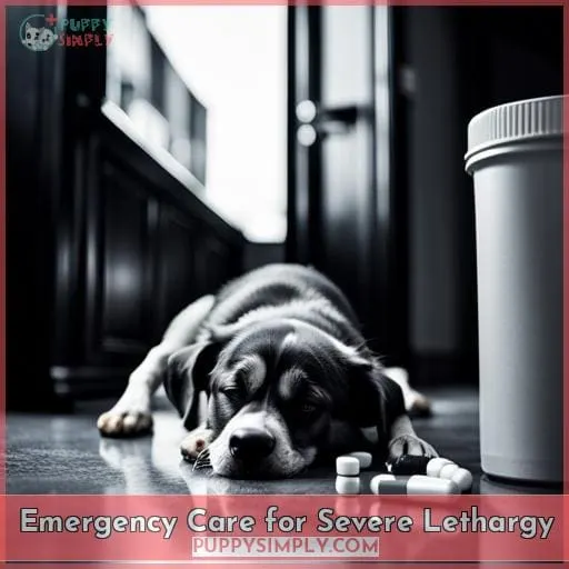 Emergency Care for Severe Lethargy