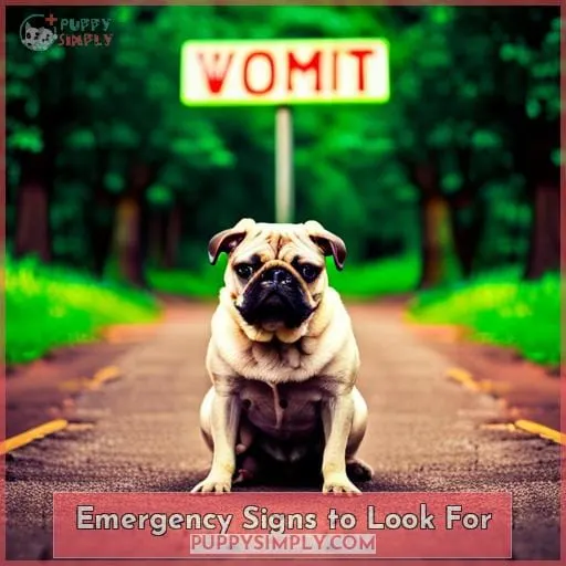 Emergency Signs to Look For