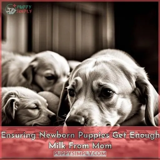 Ensuring Newborn Puppies Get Enough Milk From Mom