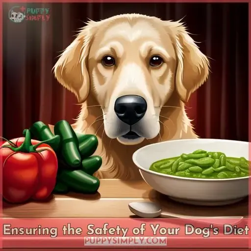 Ensuring the Safety of Your Dog