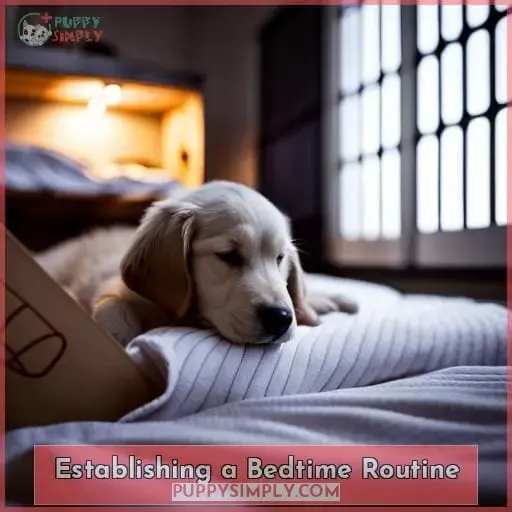 Establishing a Bedtime Routine