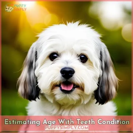 Estimating Age With Teeth Condition
