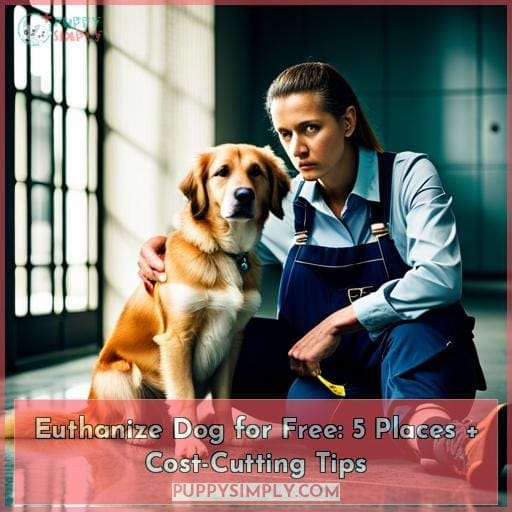 euthanize-dog-for-free-5-places-cost-cutting-tips