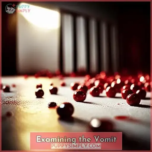 Examining the Vomit