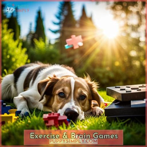 Exercise & Brain Games