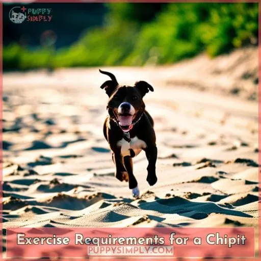 Exercise Requirements for a Chipit