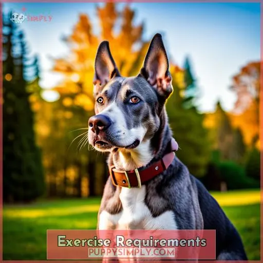Exercise Requirements