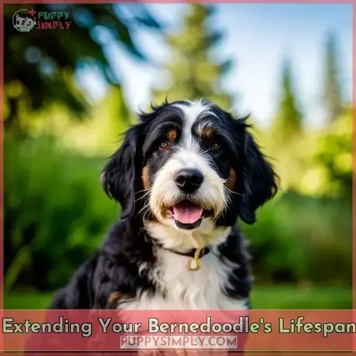 Extending Your Bernedoodle