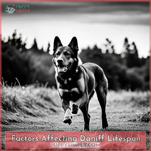 Factors Affecting Daniff Lifespan