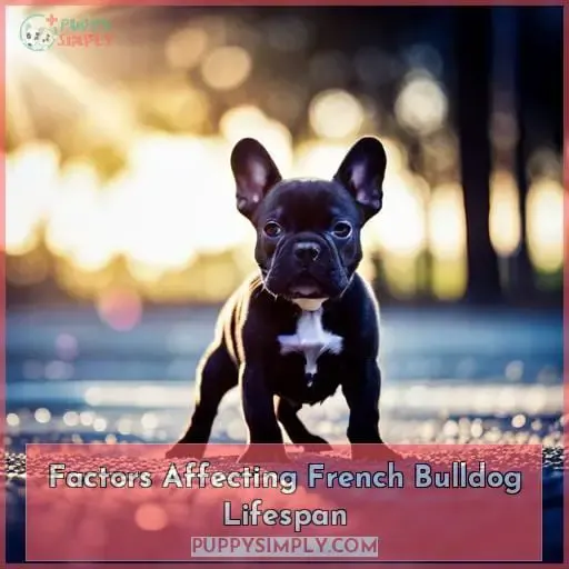 Factors Affecting French Bulldog Lifespan