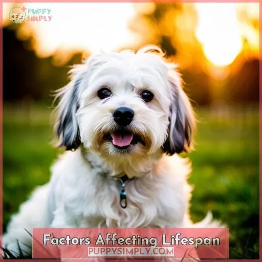 Factors Affecting Lifespan