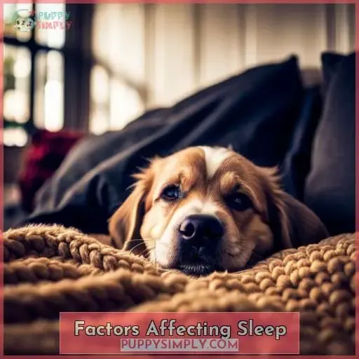 Factors Affecting Sleep