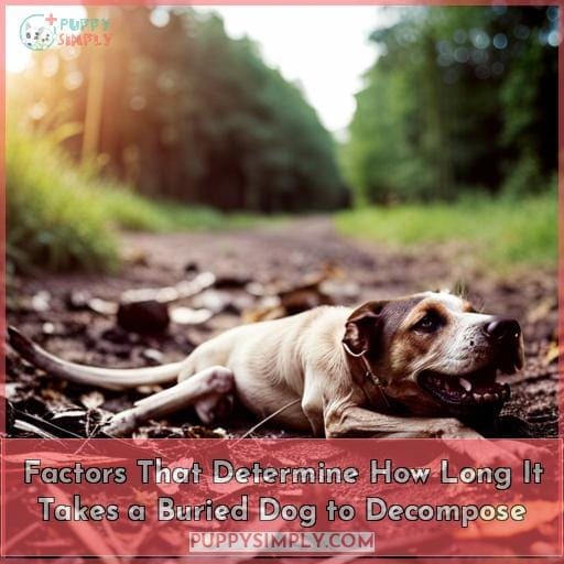 Factors That Determine How Long It Takes a Buried Dog to Decompose