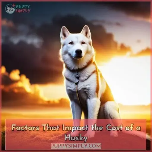 Factors That Impact the Cost of a Husky