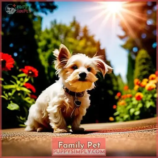 Family Pet