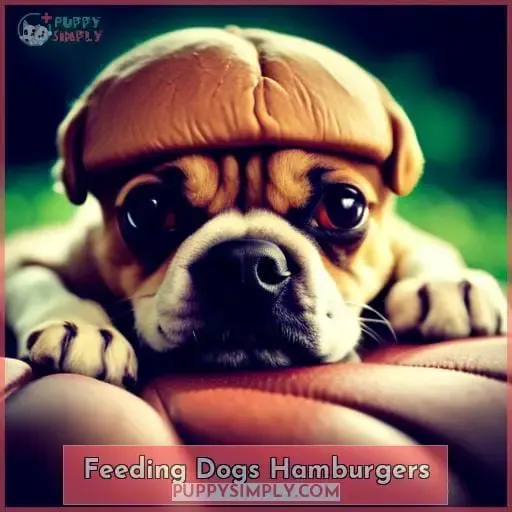 Feeding Dogs Hamburgers