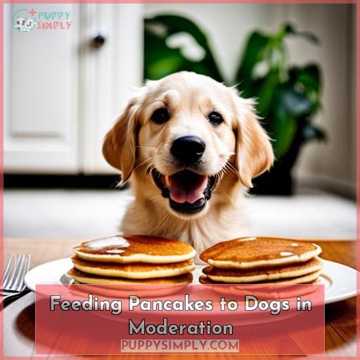 Feeding Pancakes to Dogs in Moderation