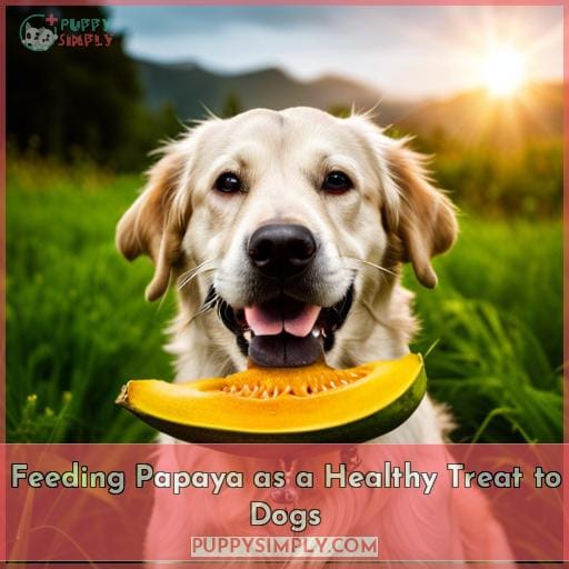 Can Dogs Eat Papaya? Benefits & Treat Recipe for Dogs