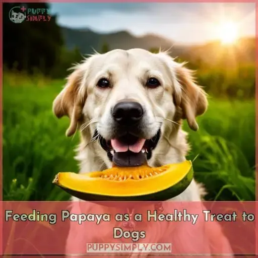 Feeding Papaya as a Healthy Treat to Dogs