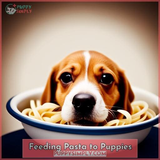 Feeding Pasta to Puppies