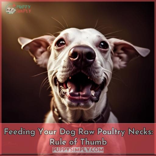 Feeding Your Dog Raw Poultry Necks: Rule of Thumb