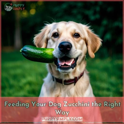 Feeding Your Dog Zucchini the Right Way