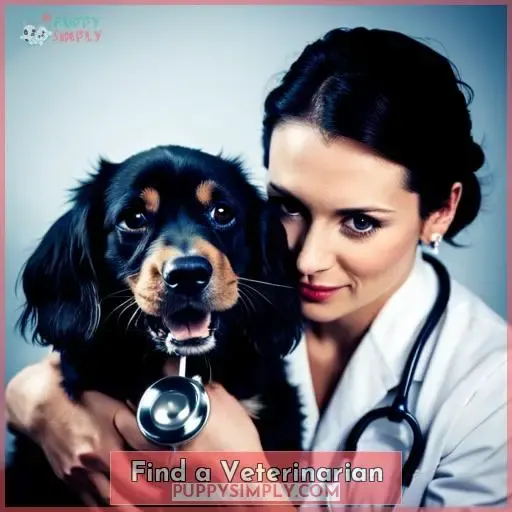 Find a Veterinarian