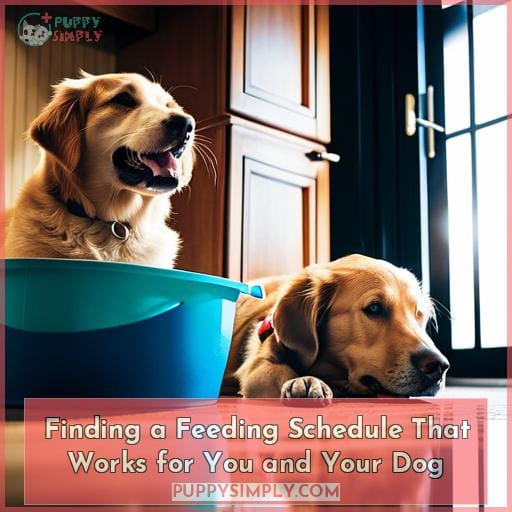 Finding a Feeding Schedule That Works for You and Your Dog