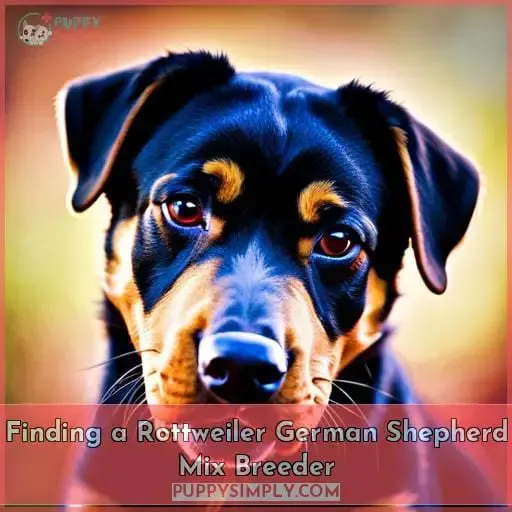 Finding a Rottweiler German Shepherd Mix Breeder