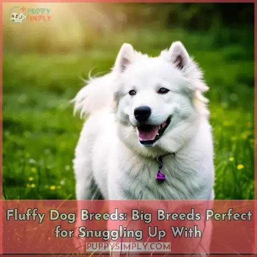 fluffy dog breeds