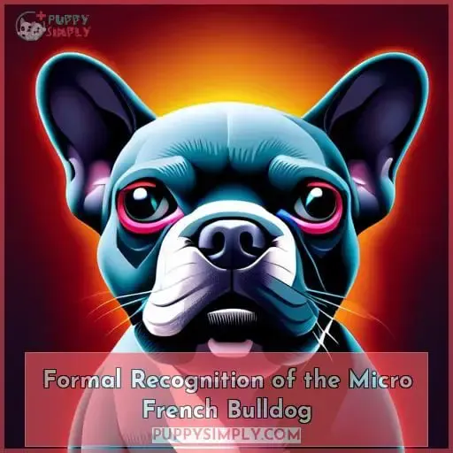 Formal Recognition of the Micro French Bulldog