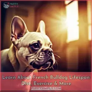 french bulldog lifespan