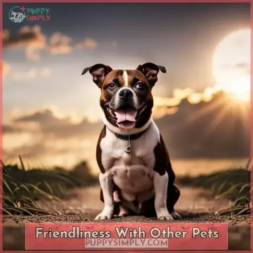 Friendliness With Other Pets