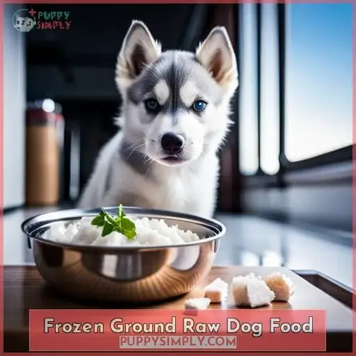 Frozen Ground Raw Dog Food