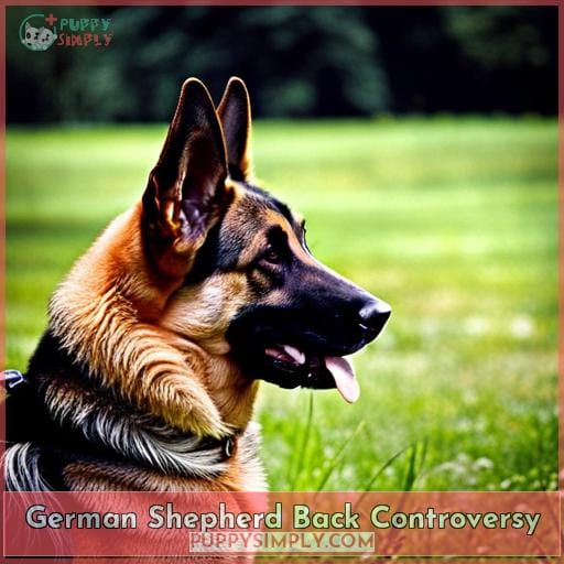 Old-Fashioned Straight-Backed German Shepherds: Facts & Breeding Tips