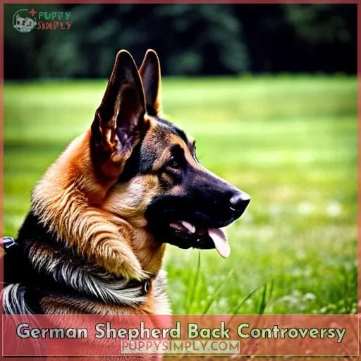 German Shepherd Back Controversy