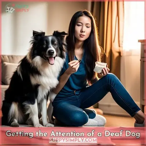 Getting the Attention of a Deaf Dog