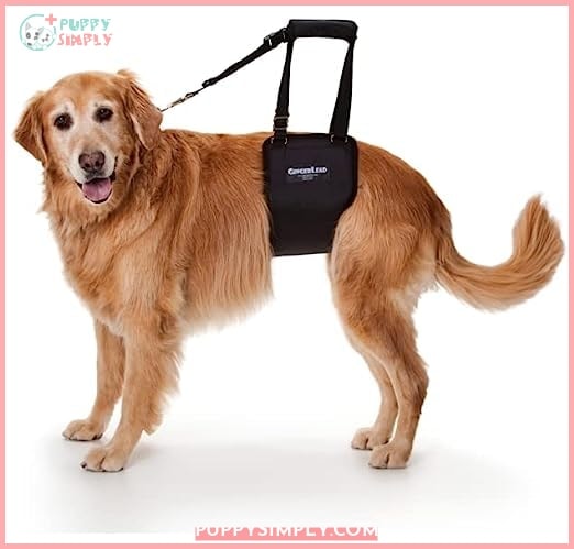 GINGERLEAD Dog Sling Support Harness,