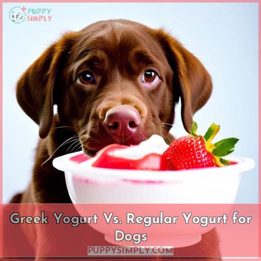 Greek Yogurt Vs. Regular Yogurt for Dogs
