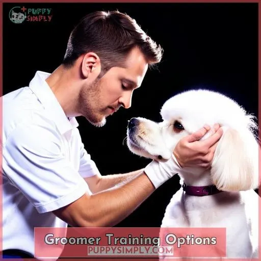 Groomer Training Options