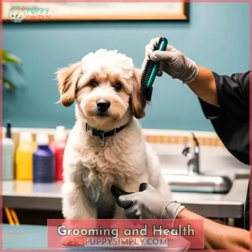 Grooming and Health