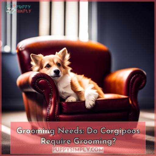 Grooming Needs: Do Corgipoos Require Grooming?
