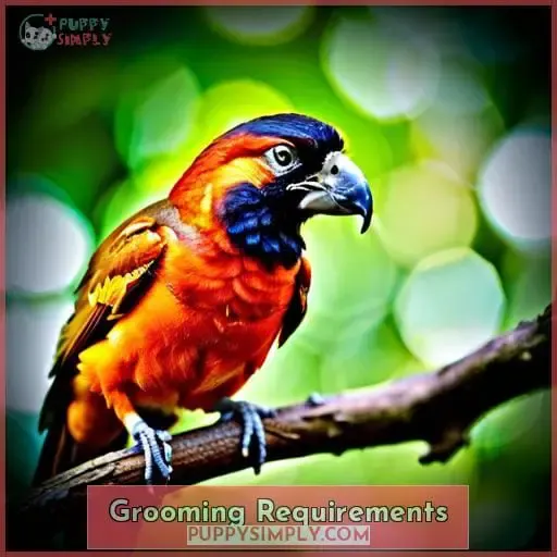 Grooming Requirements