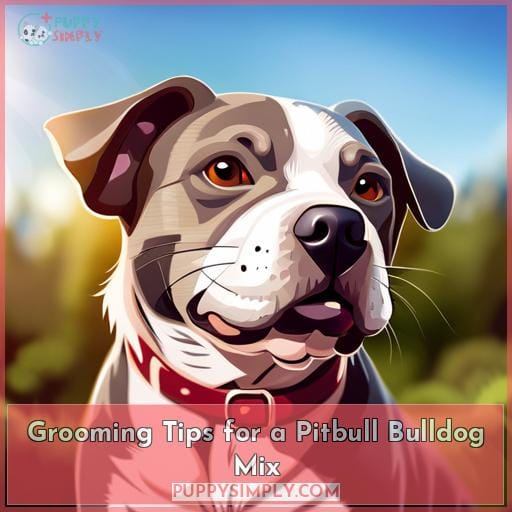 Grooming Tips for a Pitbull Bulldog Mix