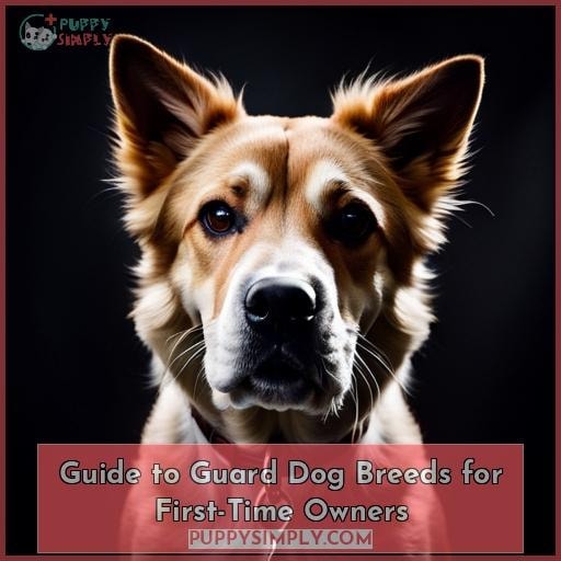 Guide To Guard Dog Breeds For First-Time Owners