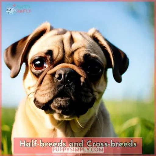 Half-breeds and Cross-breeds
