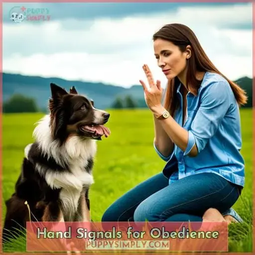Hand Signals for Obedience